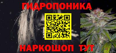 PSILOCYBIN Гусиноозёрск