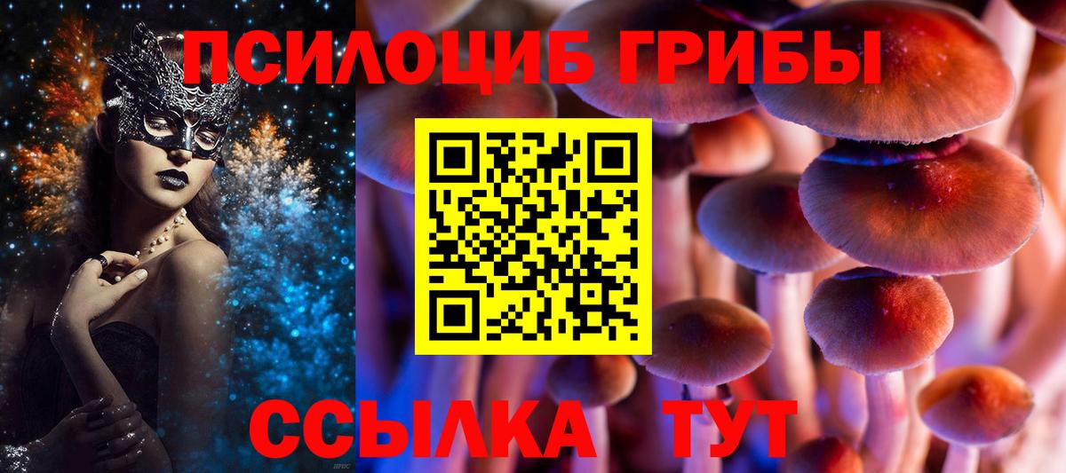 Галлюциногенные грибы Psilocybine cubensis Минусинск