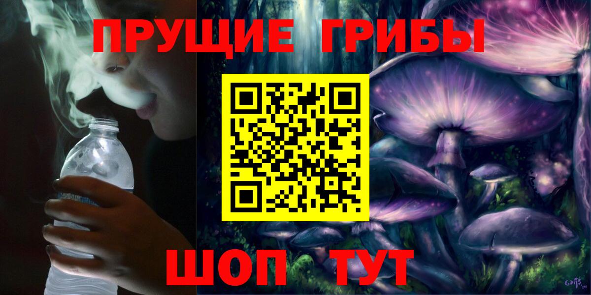 Псилоцибиновые грибы прущие грибы  Вход с VPN  Минусинск 